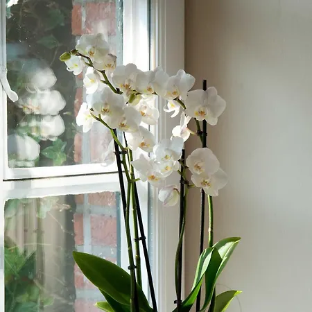 Vis A Vis Von & Mehr Dom wakacyjny Kampen